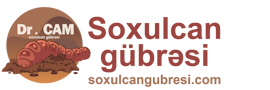 soxulcangubresi-logo90x270